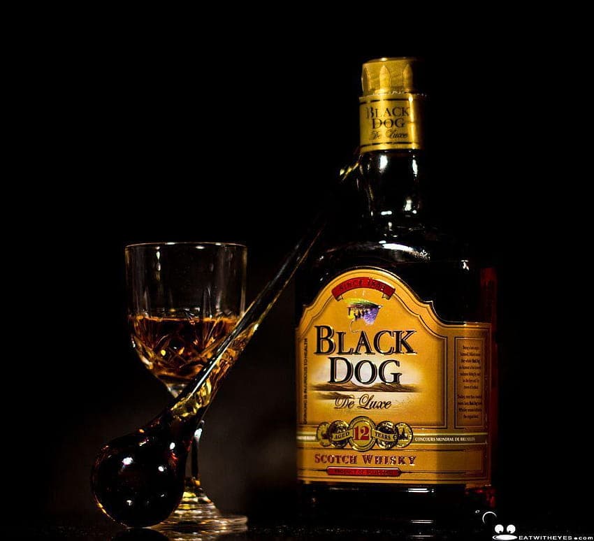 Black Dog